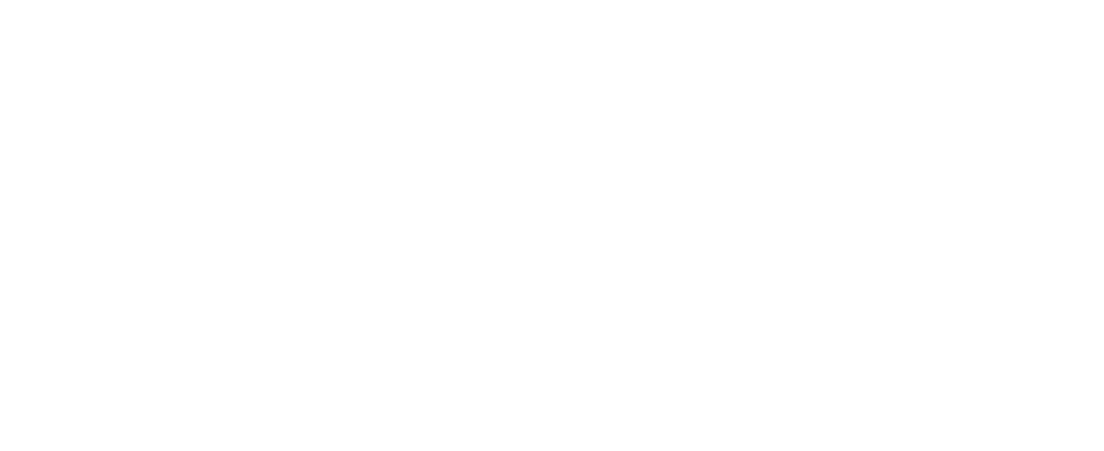 Arcadium Architecture and Retail Design